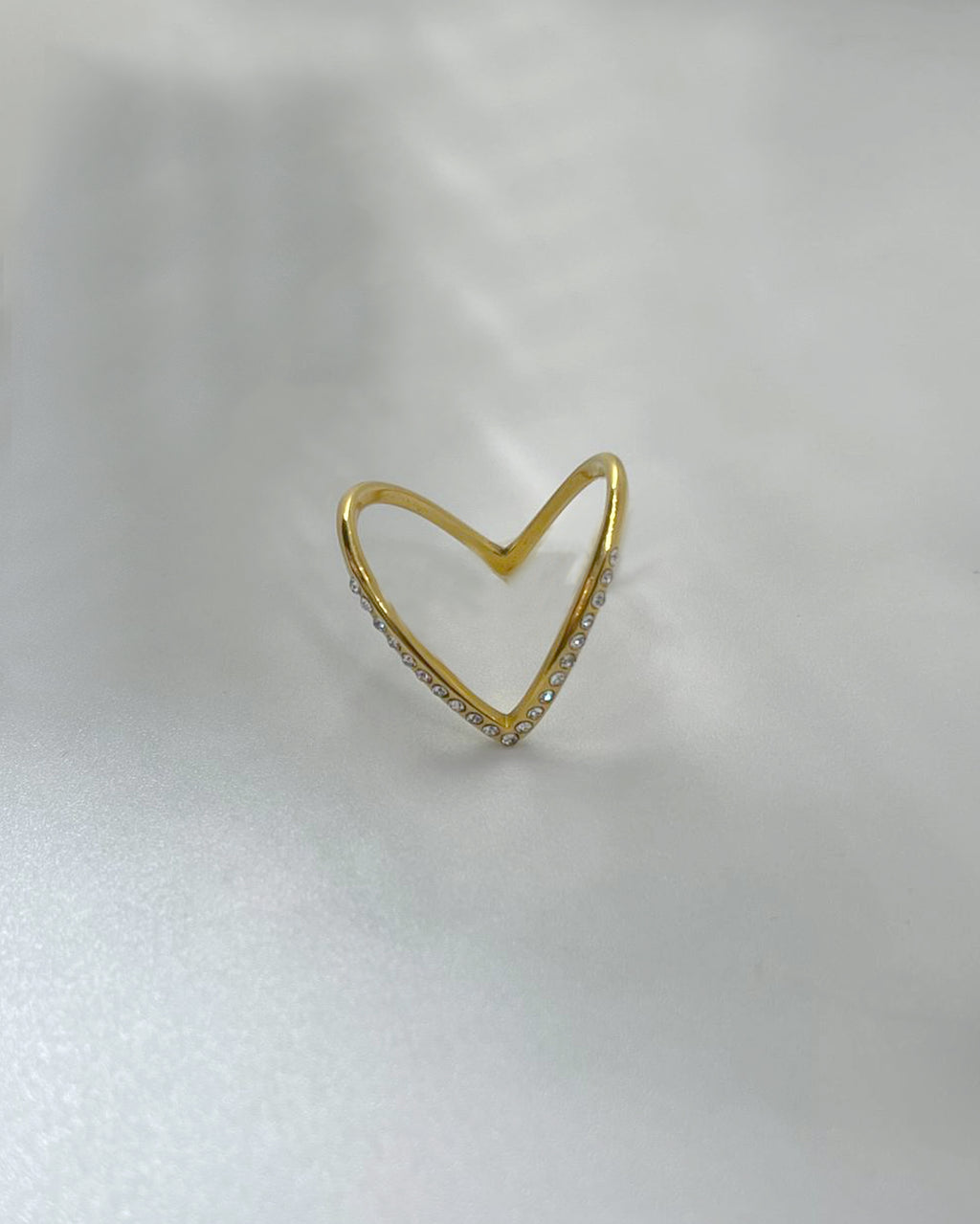 A Vision of Vibrance